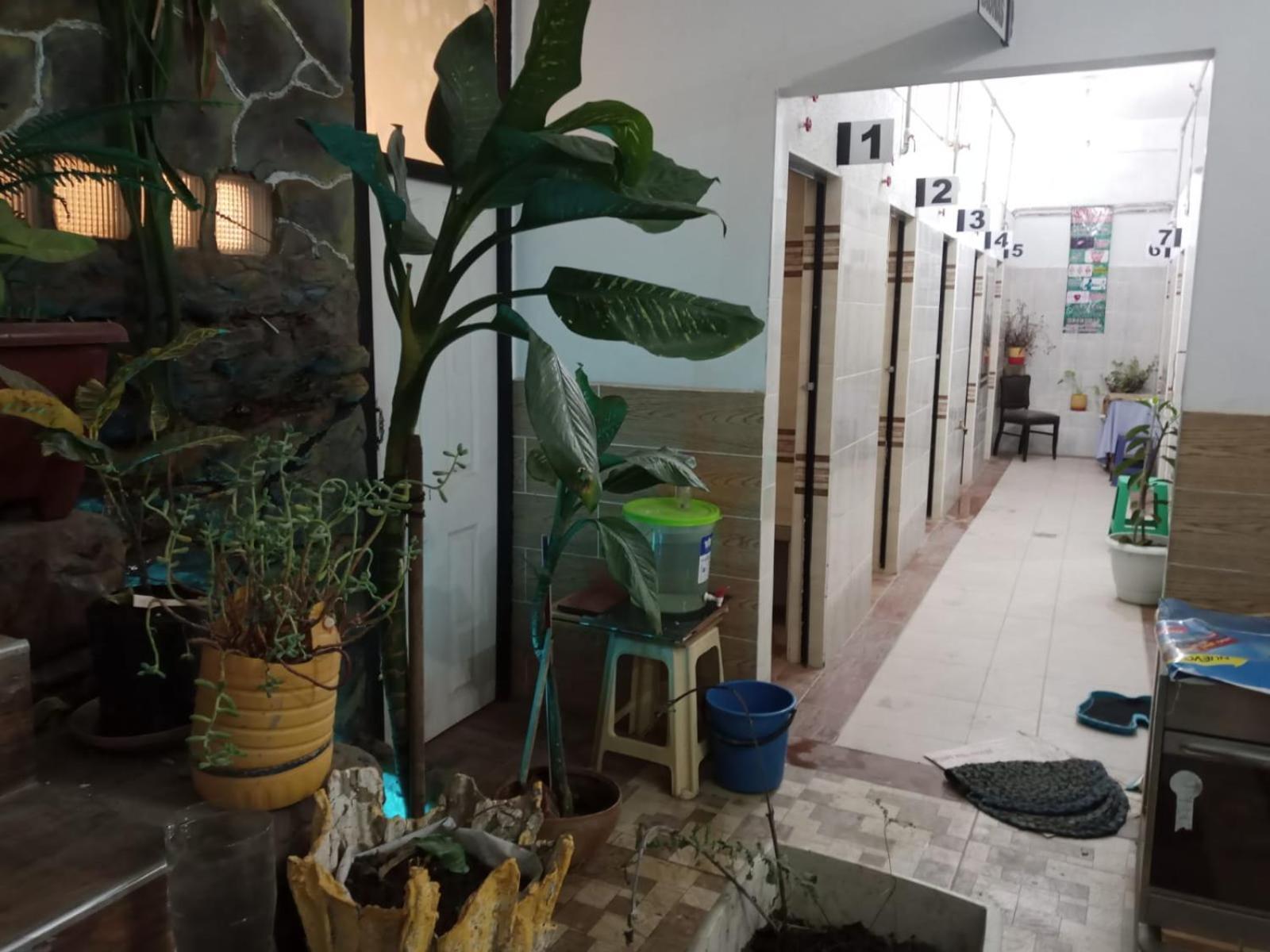 科恰班巴 Casa Qura Qura旅舍 外观 照片